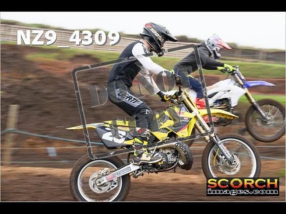Experts-157