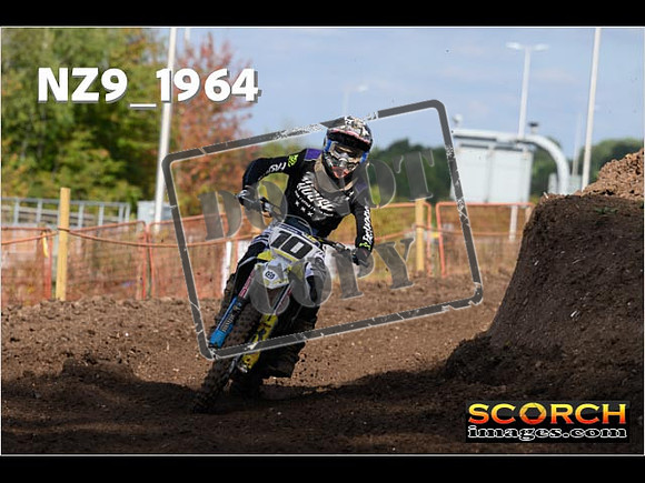 Experts-307