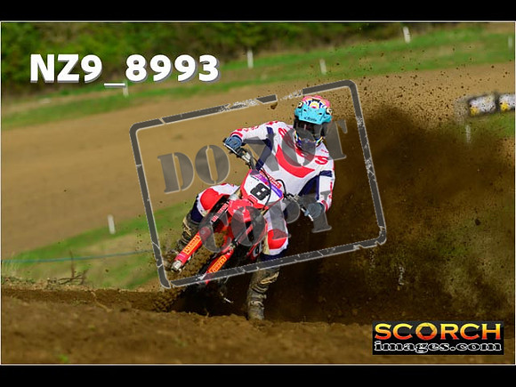 Experts-038