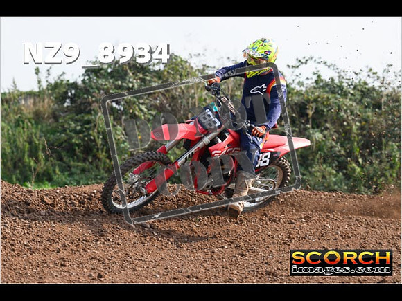 Experts-133