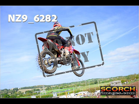 Experts-133
