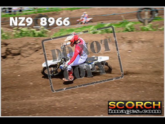 Intermediate Green-094