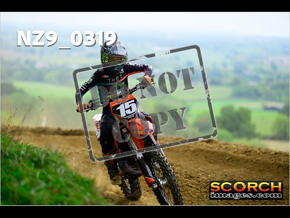 Experts-272