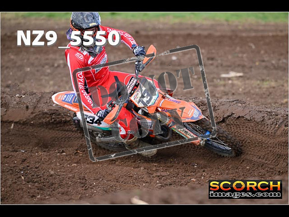 Experts-059