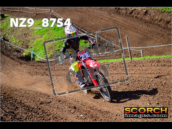 Experts-255