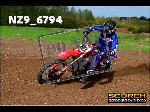 Experts-291