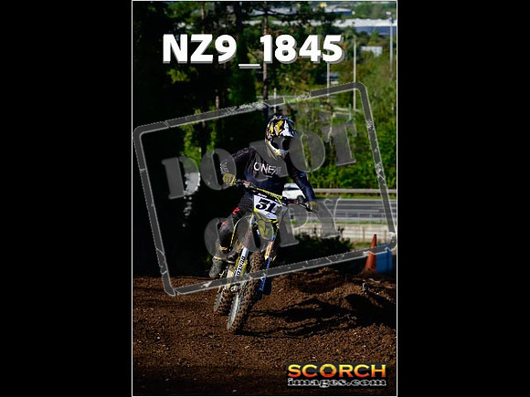 Inters-219