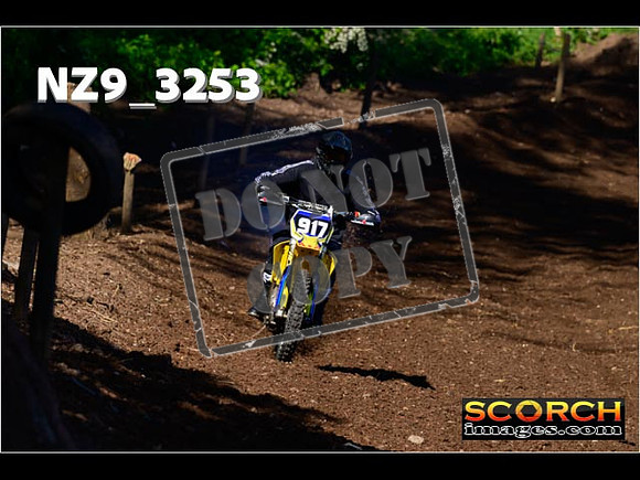 InterGreen-008