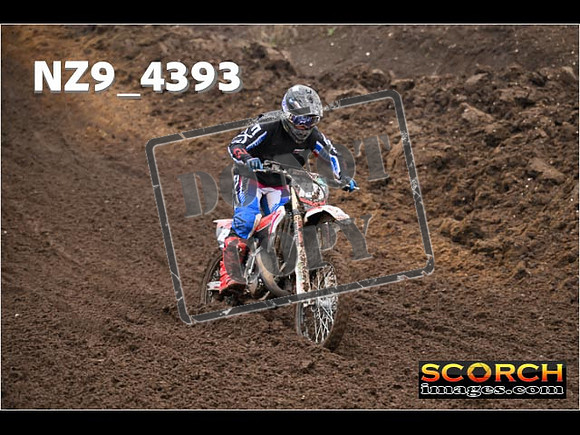 Experts-239