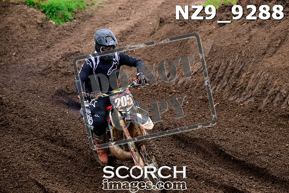 NZ9_9288