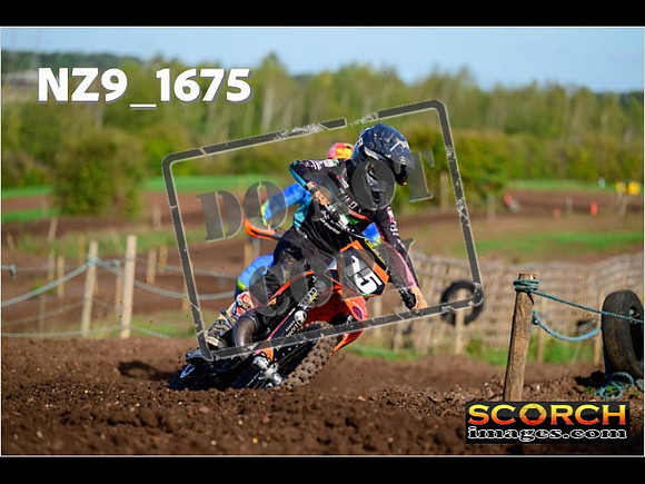 Experts-107