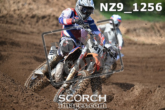 NZ9_1256