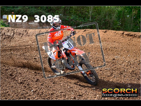 Experts-272
