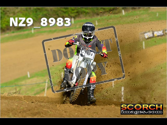 Experts-029
