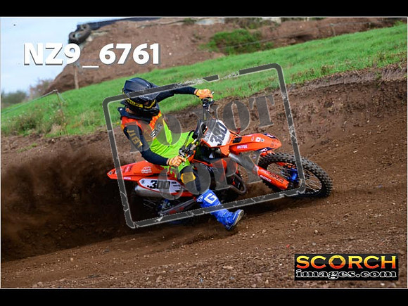 Experts-260