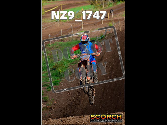 Experts-174
