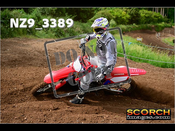 Experts-024