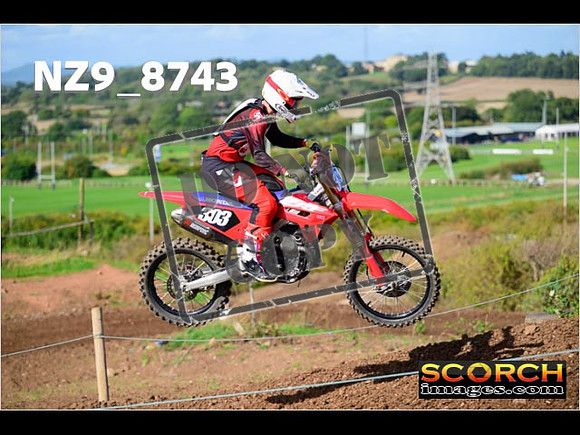 Experts-245