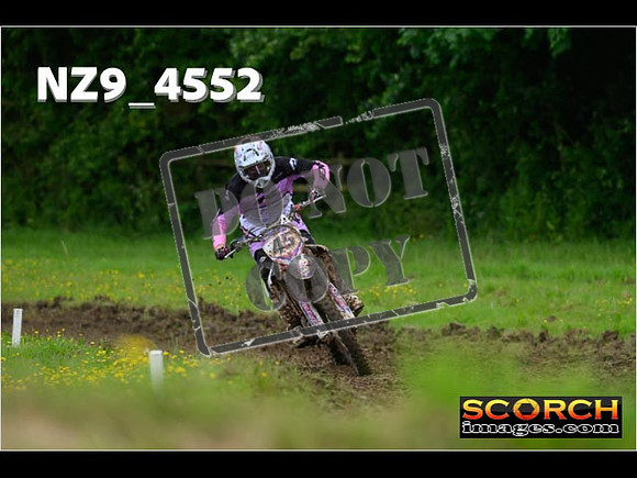 Experts-268