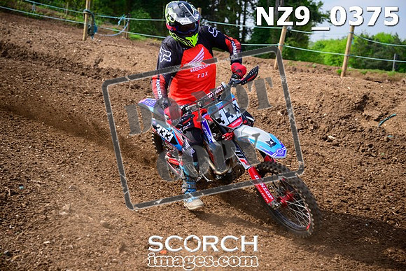 NZ9_0375