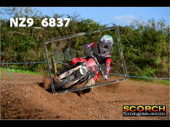 Experts-332