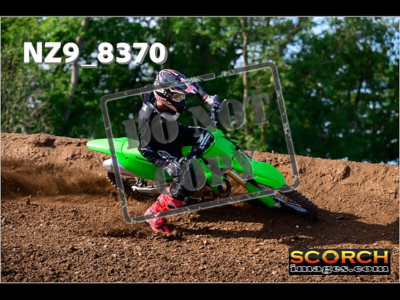 Experts-134