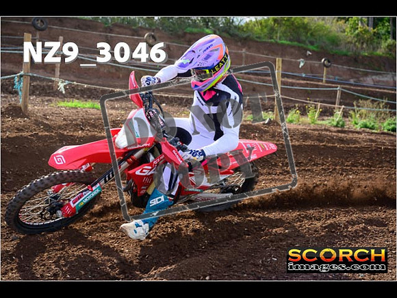 Experts-239