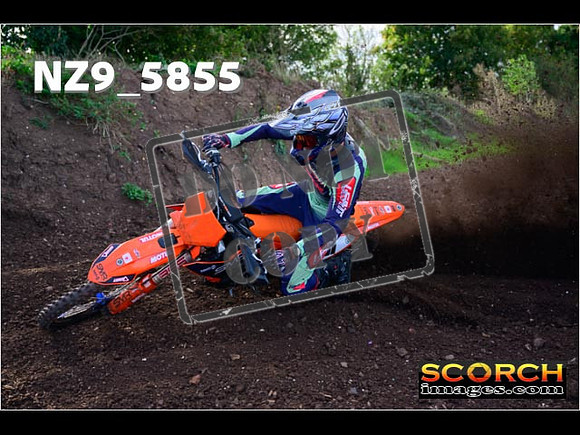 Experts-084