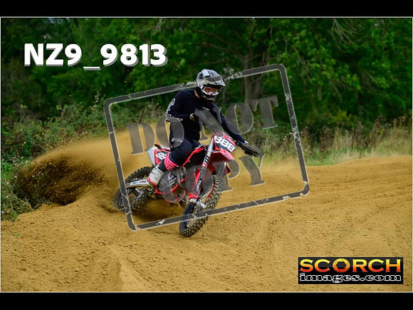Experts-233