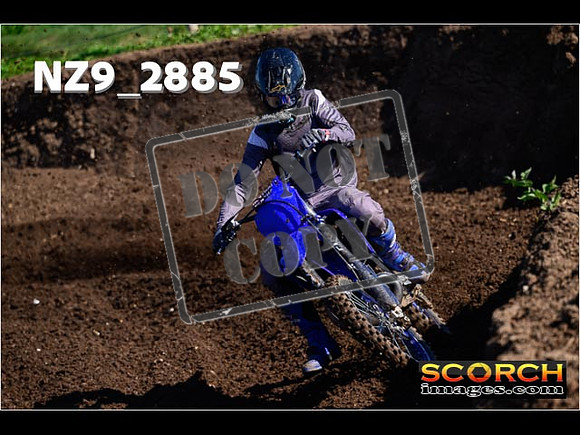 Experts-059