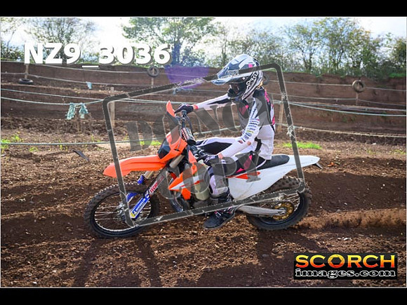 Experts-229
