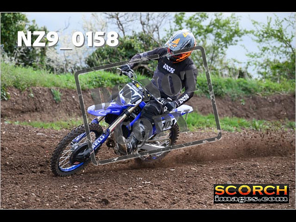 Experts-099