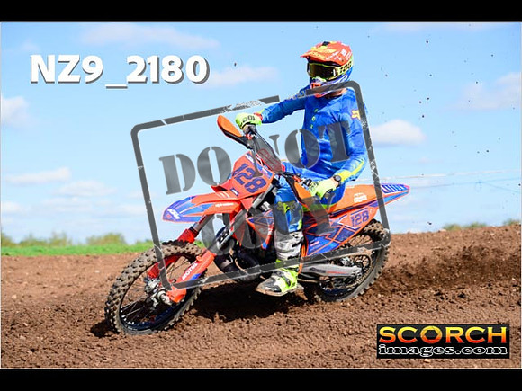 Experts-309
