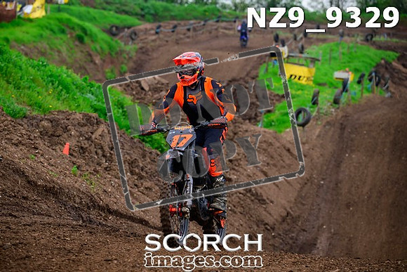 NZ9_9329