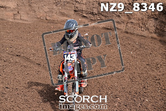 NZ9_8346