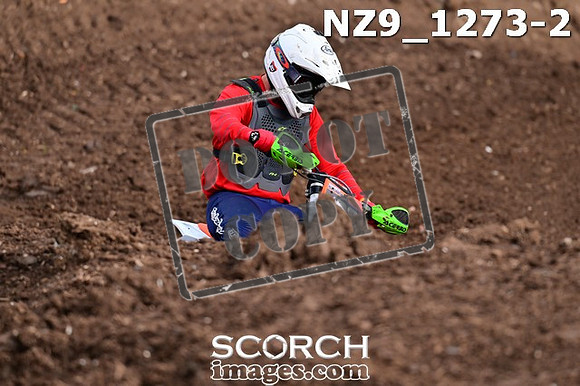 NZ9_1273-2
