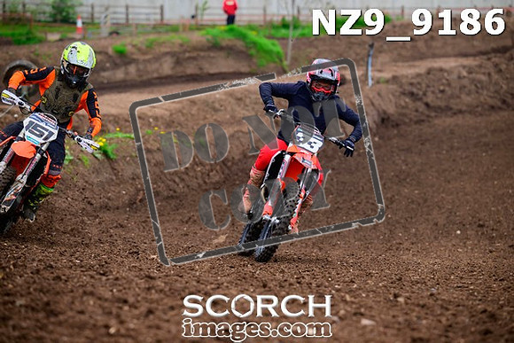 NZ9_9186
