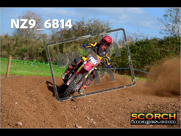 Experts-309