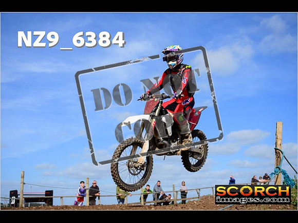 Experts-216