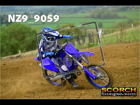 Experts-102