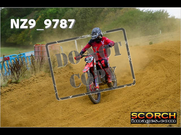 Experts-209