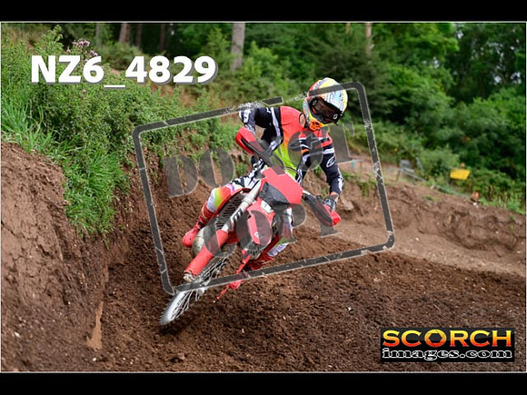 Experts-025