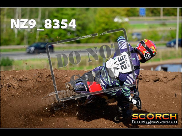 Experts-120