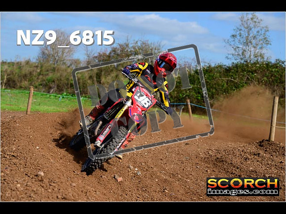 Experts-310