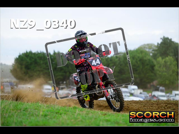 Experts-291