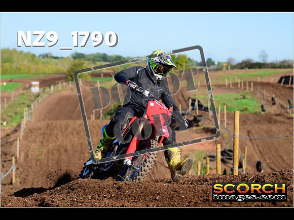 Experts-216