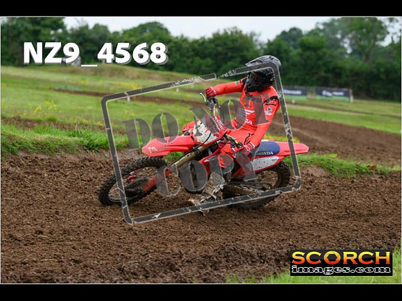 Experts-284