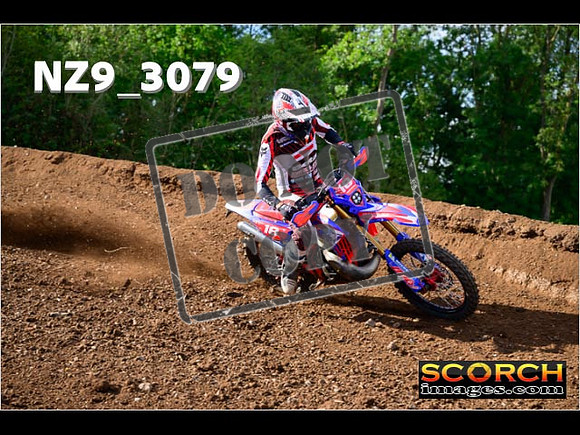 Experts-267