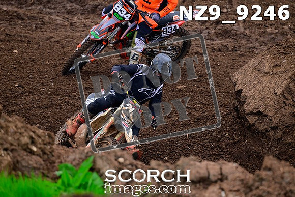 NZ9_9246