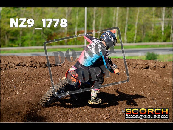 Experts-204